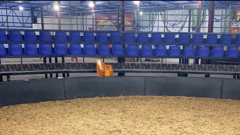 Sở hữu các trận đấu đỉnh cao, hiếm có giữa các thần kê